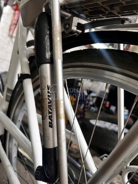 Batavus Genova E Go 7