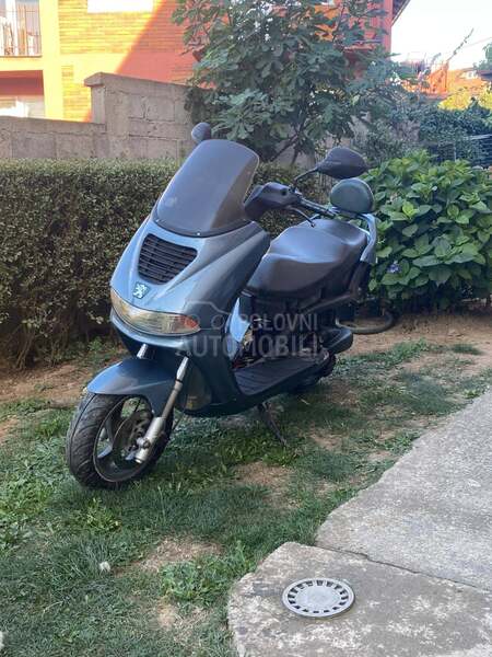 Peugeot elyseo 100cc delovi