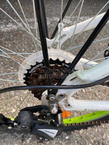 Serious cycles