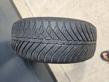 Goodyear 225/50 R17 Sve sezone