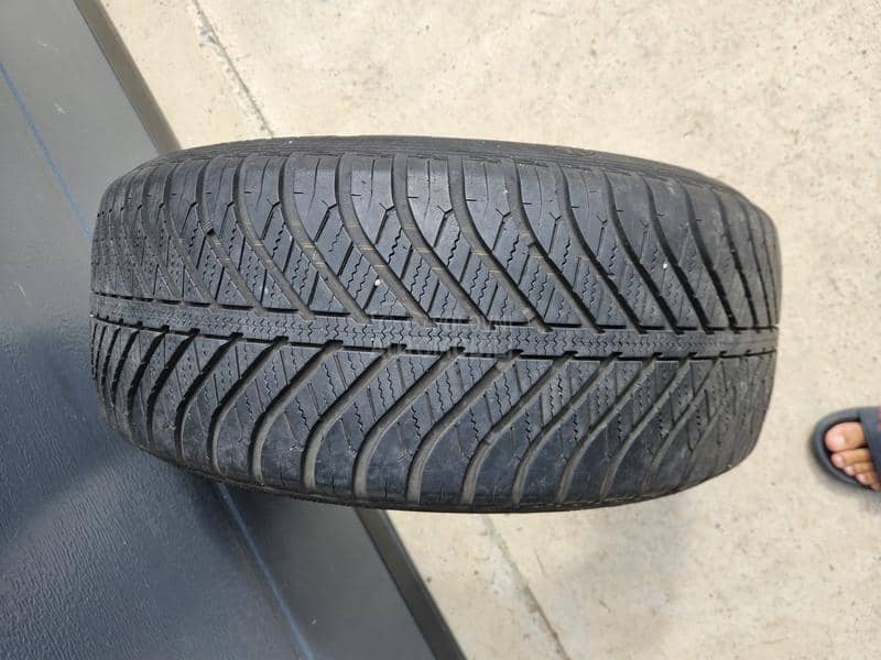 Goodyear 225/50 R17 Sve sezone