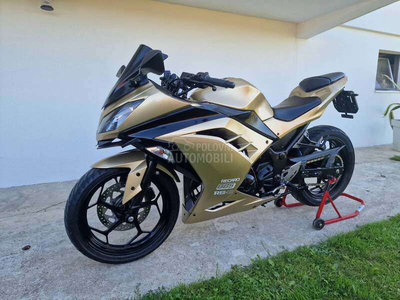 Kawasaki Ninja 300