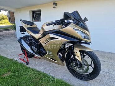 Kawasaki Ninja 300