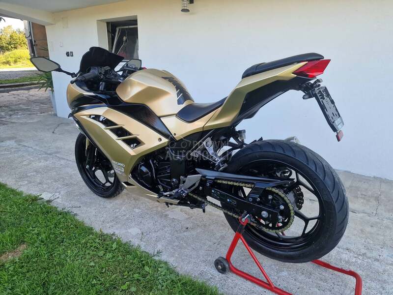 Kawasaki Ninja 300
