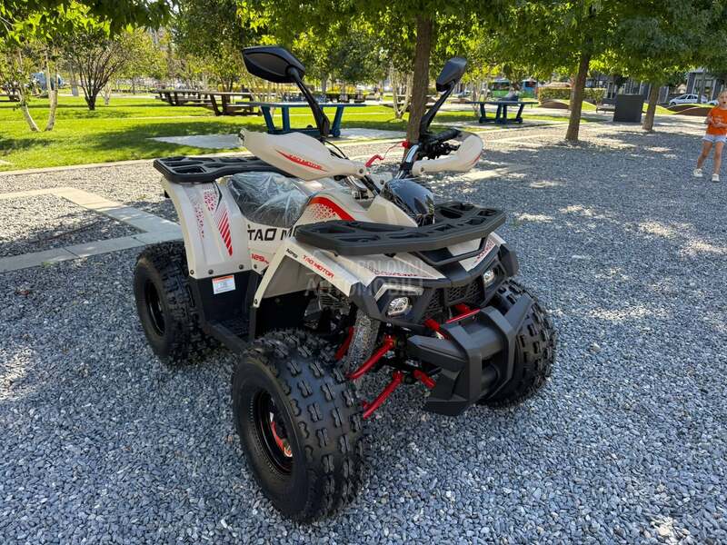 Tao Motor SHARK 125