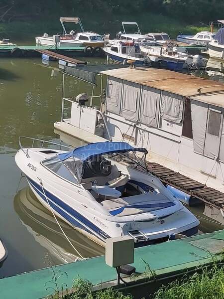 Campion s565 allante