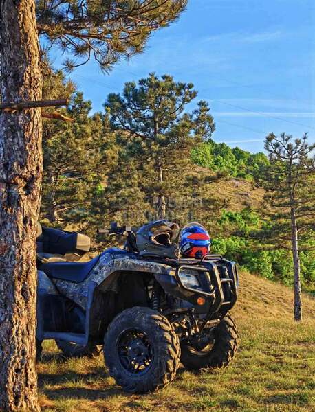 Honda rubicon 520