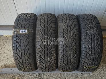 Riken 185/60 R15 Zimska