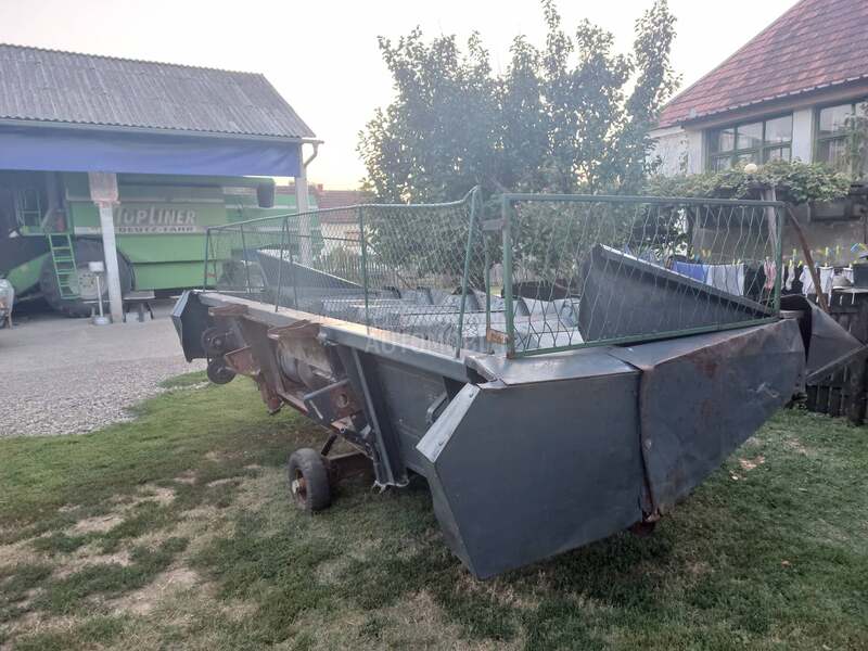 Zmaj Zmaj Dautch