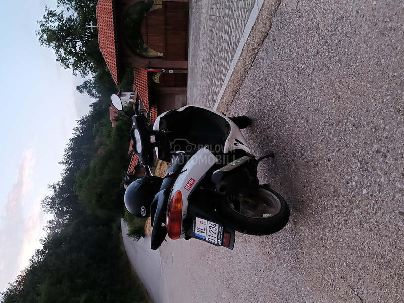 Sprint falcon