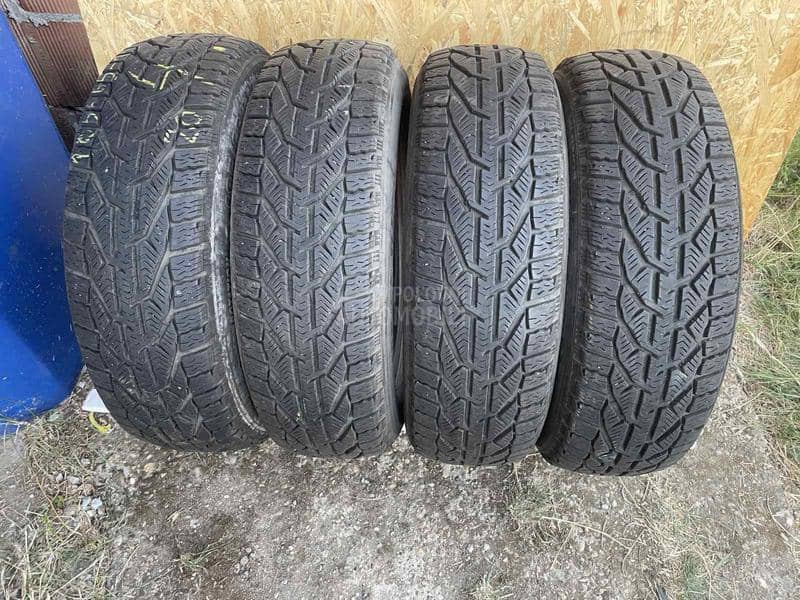 Riken 185/65 R15 Zimska