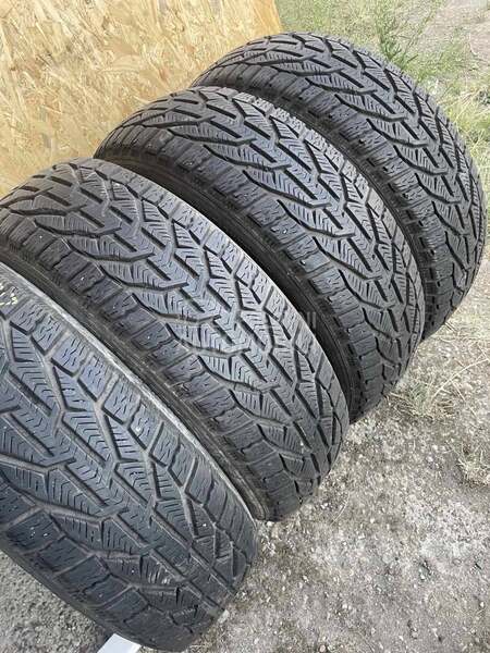 Riken 185/65 R15 Zimska