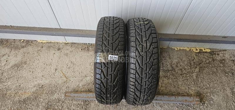 Riken 185/65 R15 Zimska