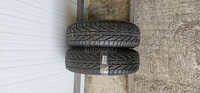 Riken 185/65 R15 Zimska
