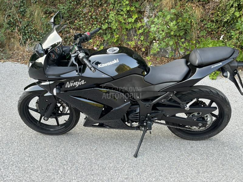 Kawasaki NINJA 250R