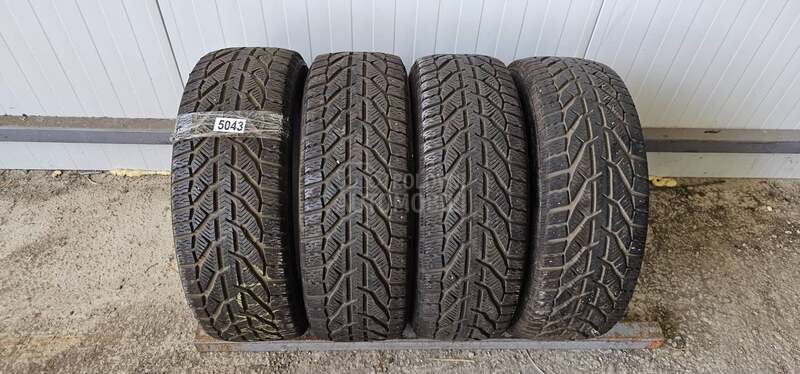 Taurus 195/55 R16 Zimska