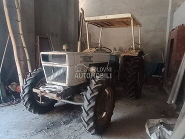 Lamborghini 704