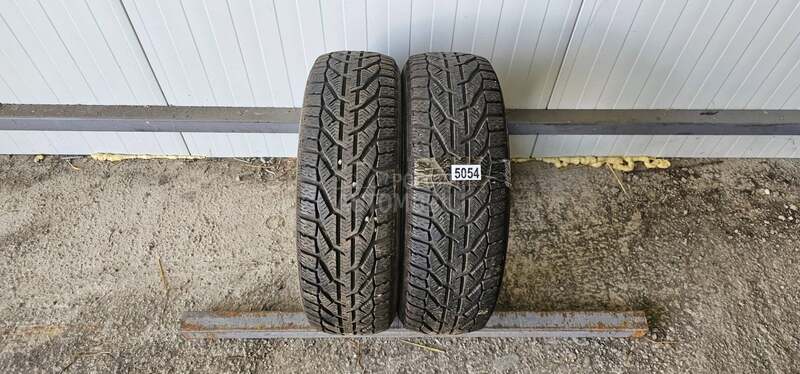 Riken 185/60 R15 Zimska