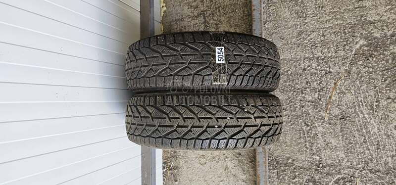 Riken 185/60 R15 Zimska