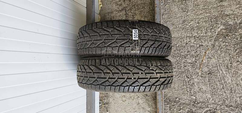 Riken 185/60 R15 Zimska