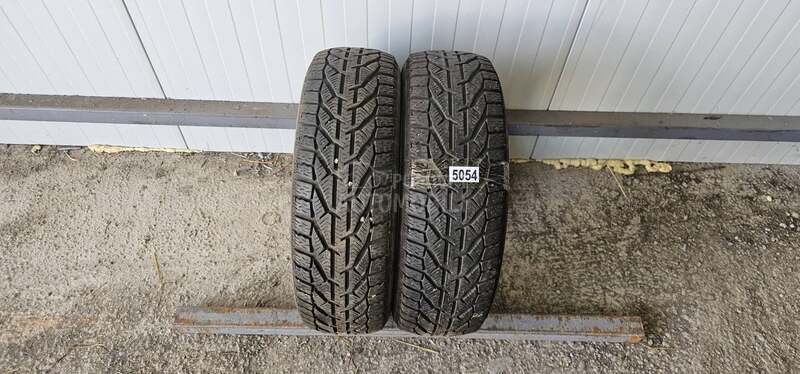 Riken 185/60 R15 Zimska