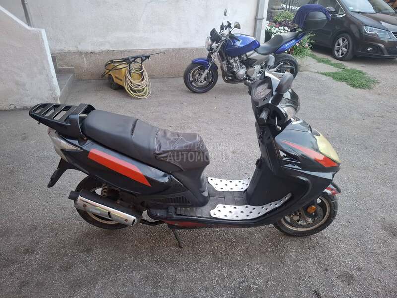 Sprint falcon