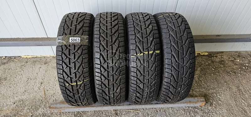Riken 185/60 R15 Zimska