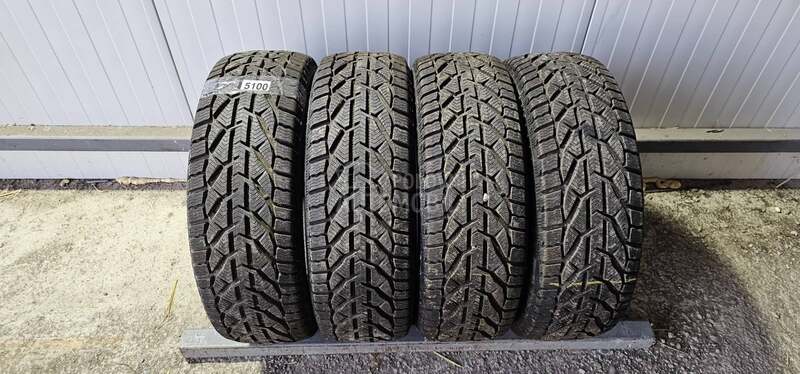 Riken 195/55 R16 Zimska