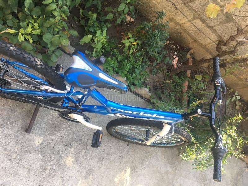 Capriolo Diavolo 240 Plavo Beli