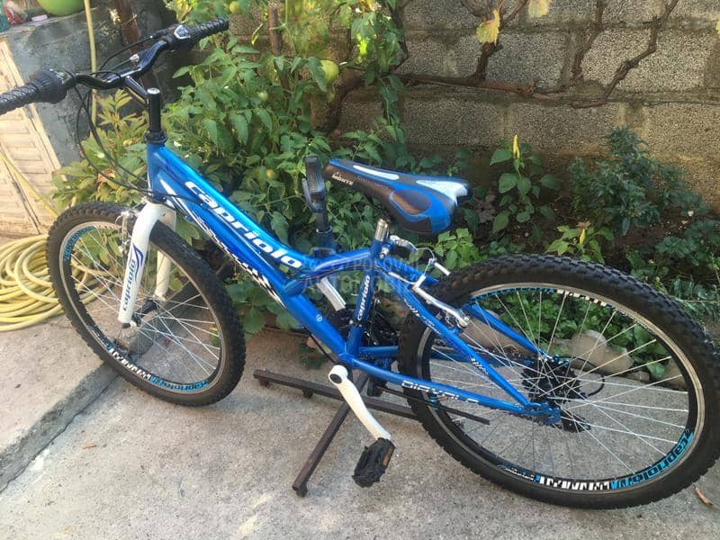 Capriolo Diavolo 240 Plavo Beli