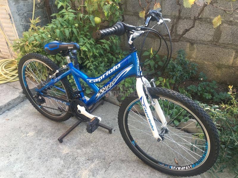 Capriolo Diavolo 240 Plavo Beli