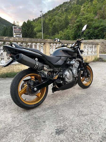 Honda hornet