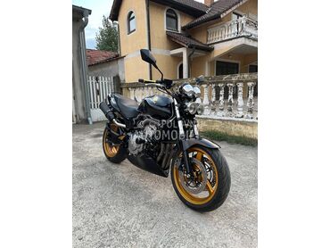 Honda hornet