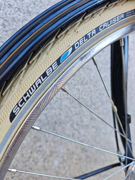 Excelsior Nexus 7 brzina