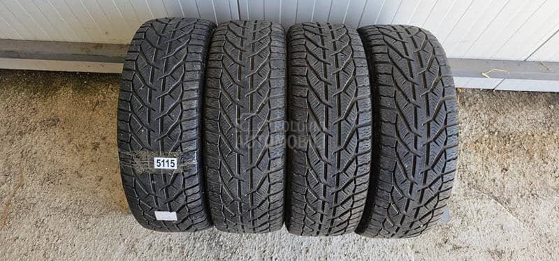 Riken 195/55 R16 Zimska