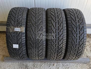 Riken 195/55 R16 Zimska