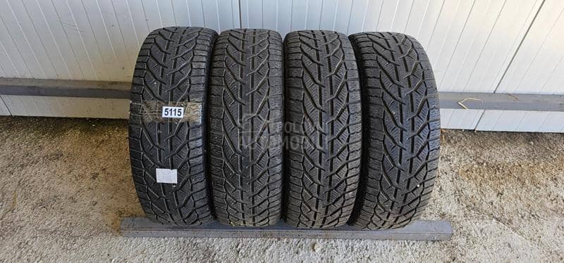 Riken 195/55 R16 Zimska