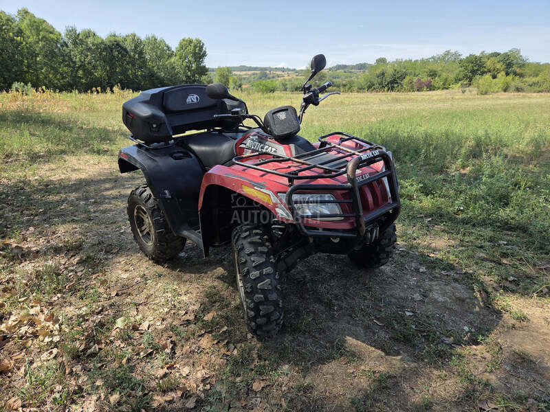 Arctic Cat 550
