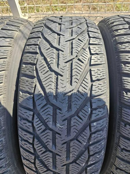 Riken 205/55 R17 Zimska