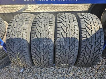 Riken 205/55 R17 Zimska