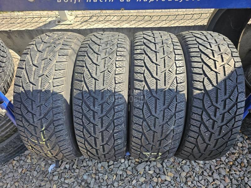 Riken 205/55 R17 Zimska