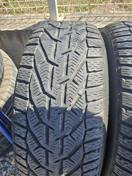 Riken 205/55 R17 Zimska