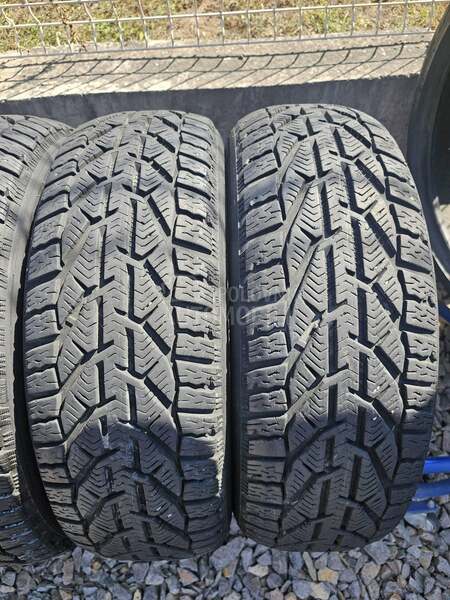 Riken 185/60 R15 Zimska