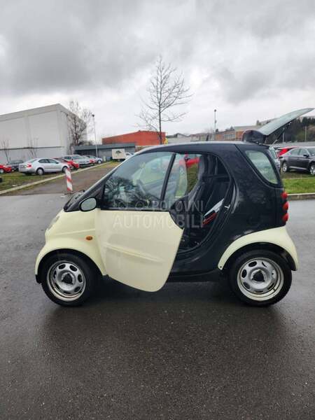 Smart 1.0