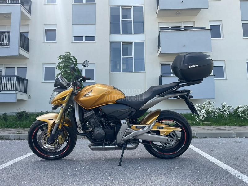 Honda Hornet