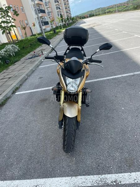 Honda Hornet
