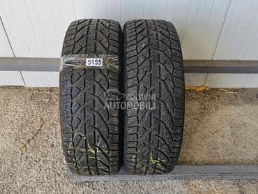 Riken 195/55 R16 Zimska