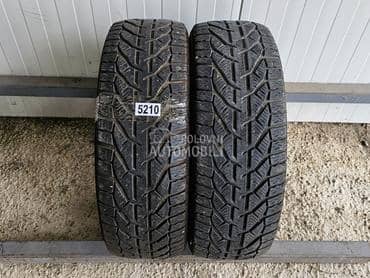 Riken 195/55 R16 Zimska