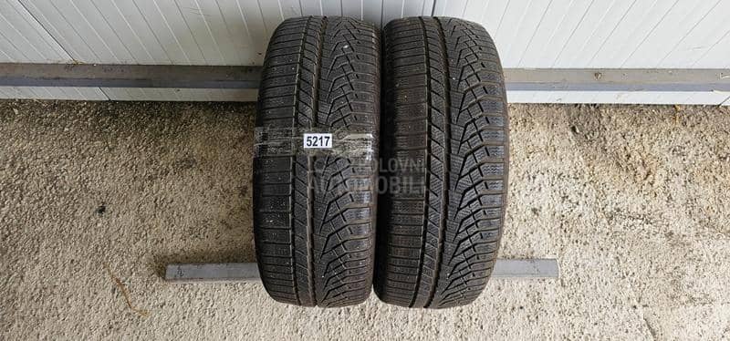 Sailun 225/55 R17 Zimska