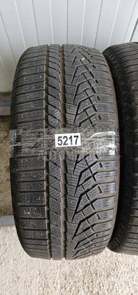 Sailun 225/55 R17 Zimska